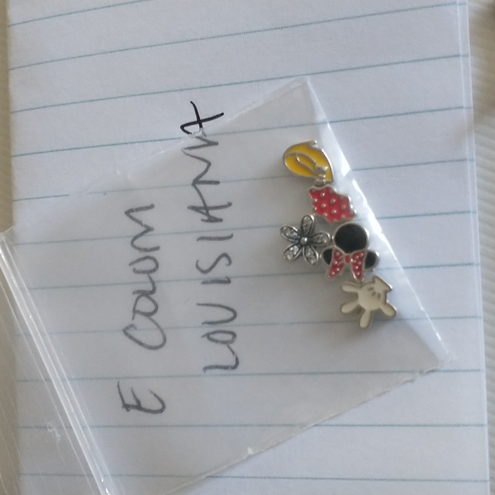 Pandora petite charms